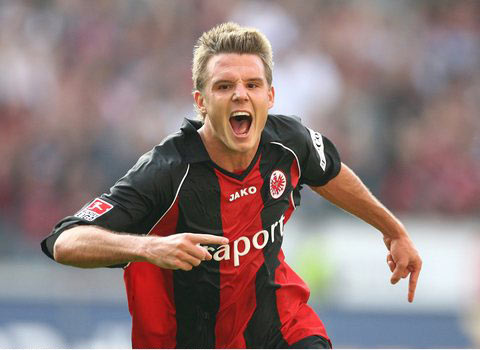 尼斯近年来 尼斯近年来